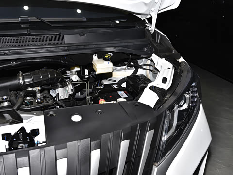 2025�� 2.0L CNG��Ӣ�� 9��