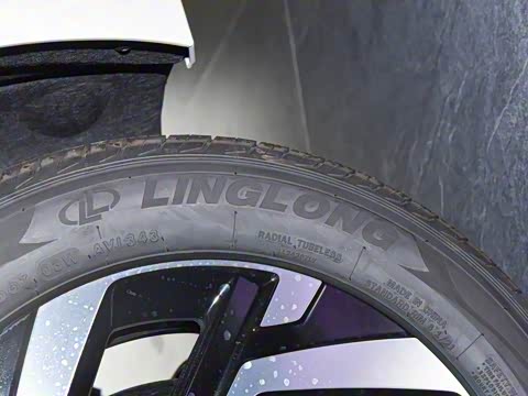 2026�� Pro 300TSI �������