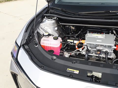 2026�� ������ JOY