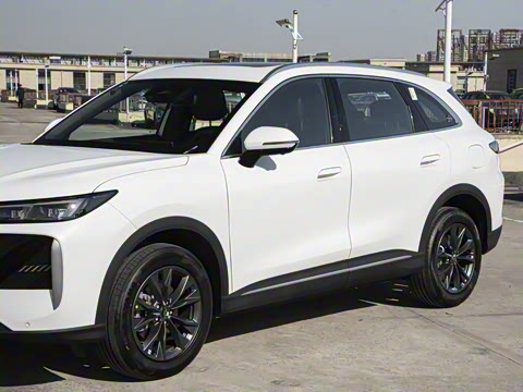 2026�� ����� ���� ����1.6T �Զ�������