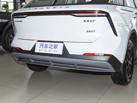 2026�� 260T ���ǰ� Pro