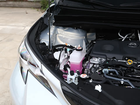 2026�� 2.5L ˫������������