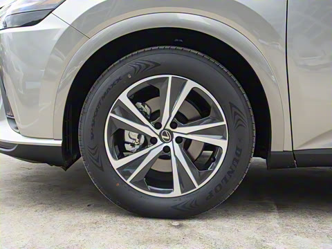 2026�� 300 ����������