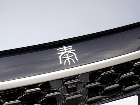 2026�� DM-i 128KM��ȡ��