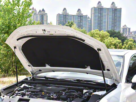 2026�� ˫�� 2.0HE ��Ӣ��