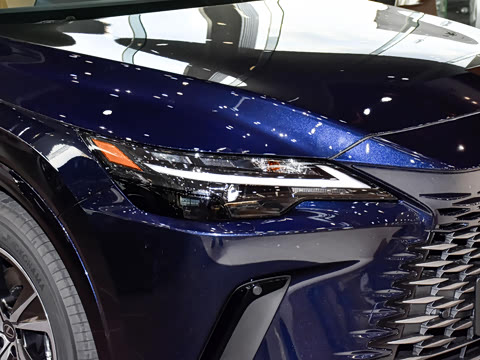 2026�� 300 ����������