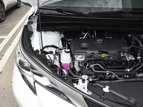 2027�� 2.5L ˫��������������