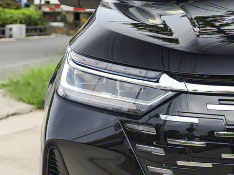 2025�� 290T ��������+