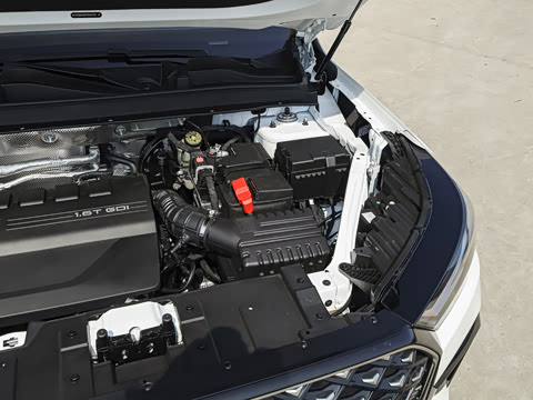 2026�� 290TGDI DCT������ 5��