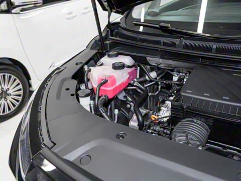 2025�� ���� �������������� ����