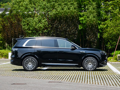 2025�� ���� Max+ ������������ 