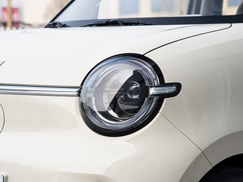 2026�� ����� 301km ���׿�