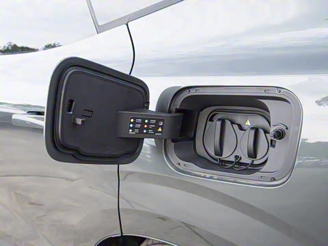 2026�� ������������Plus