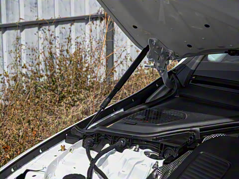 2026�� E 260 �˶���