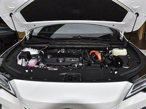 2026�� 350h ����������