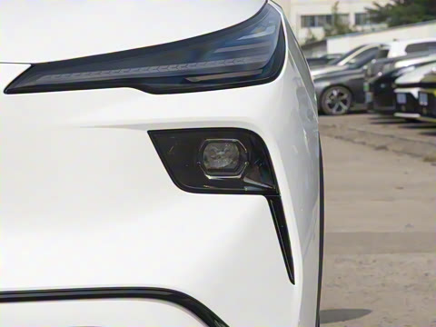 2025�� 565km ������