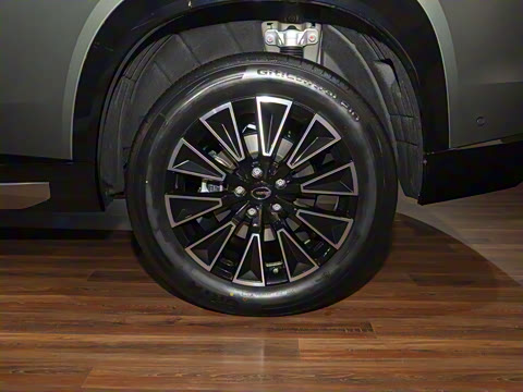 2025�� 205km Pro+�����״��