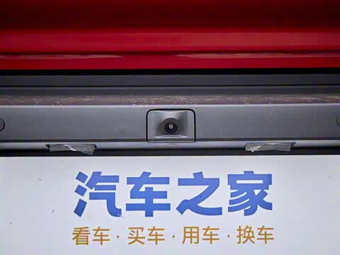 2025�� 501���������