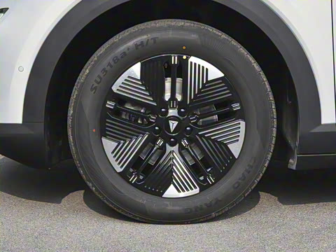 2026�� 620Plus�����