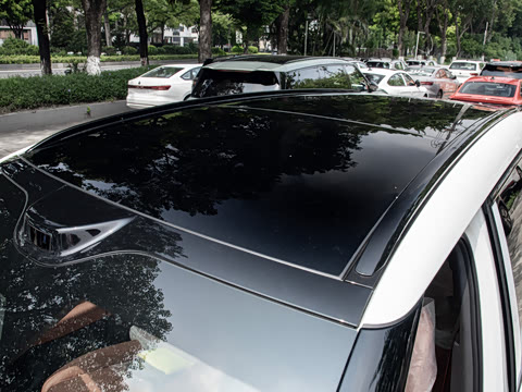 2026�� Max ������