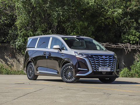 2025�� DM-i �Ǽݰ� 1020 ����������