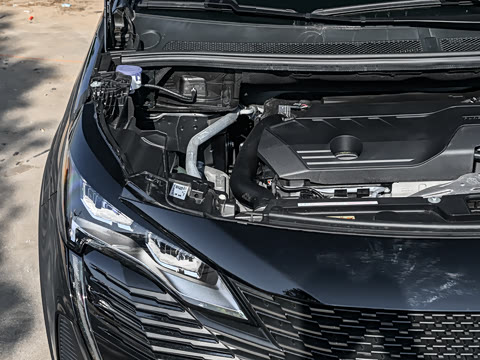 2025�� ������