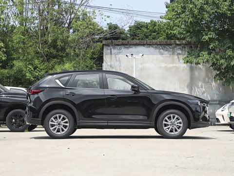 2025�� 2.0L �Զ�����������