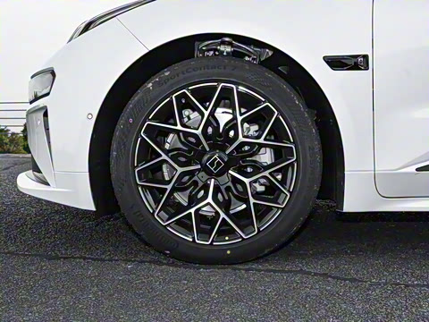 2026��   95������ Max��