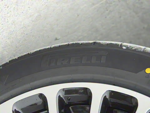 2025�� ���� Max+ ������������ 