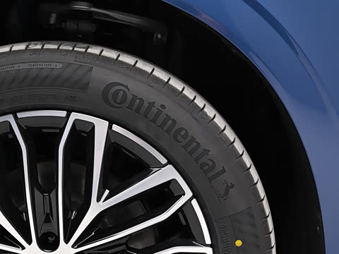 2026�� ���� ����Max��
