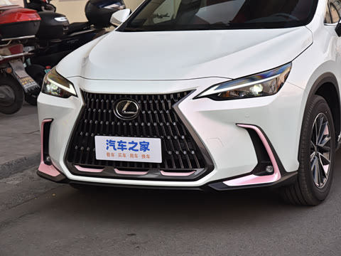 2026�� 200 ��ɫ�޶���