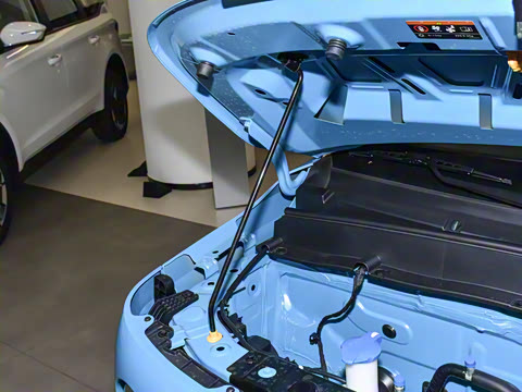 2025�� ������