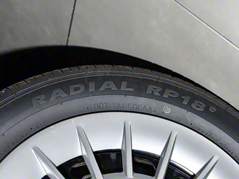 2025�� ������