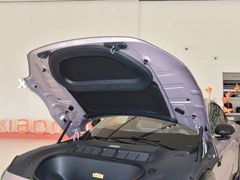 2025�� ������������Pro��