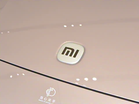 2025�� ������������Pro��