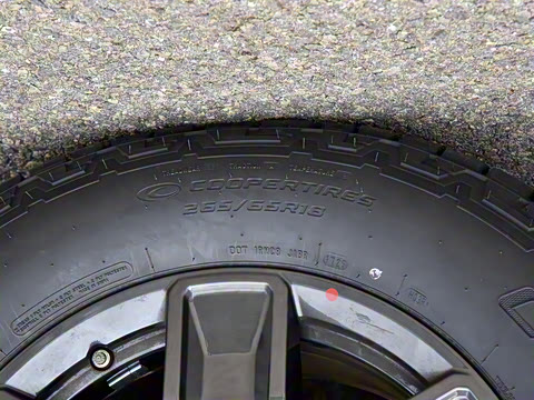 2025�� ͨ�հ�