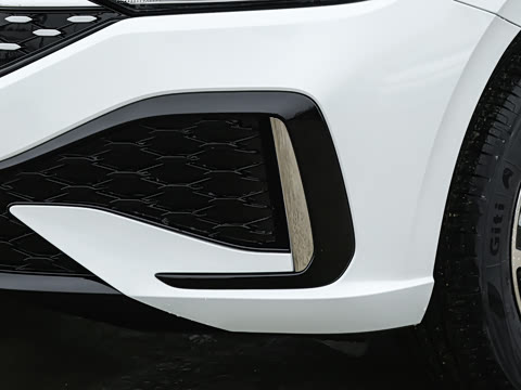 2026�� 300TSI DSG�ǿ����ݰ�