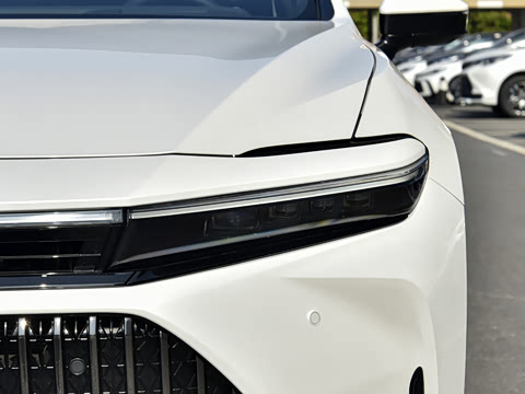 2024�� 2.5L �����