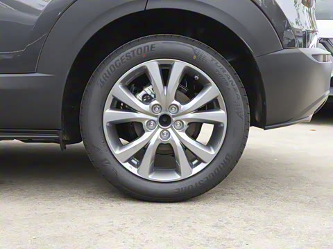 2025�� 2.0L �Զ�������