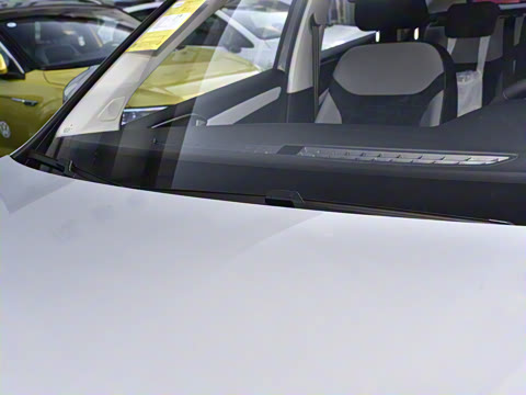 2026�� 280TSI �Զ��ȷ��