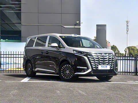 2025�� DM-i ��������