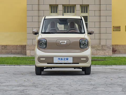 2026�� 222km ������