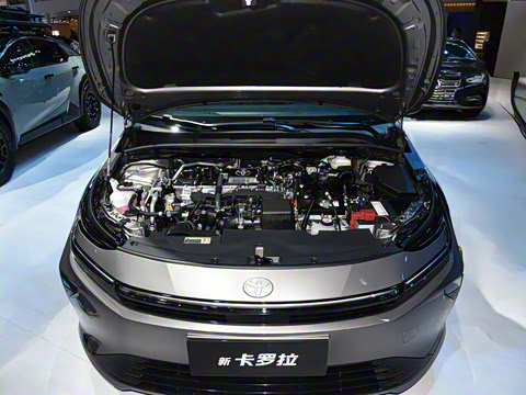 2026�� 1.8L ˫�� �콢��