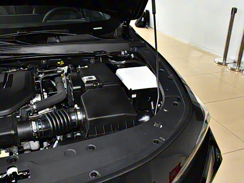 2025�� ������ 2.0T ������