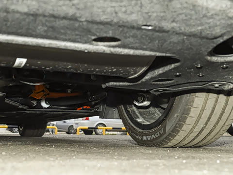 2025�� ���� Max