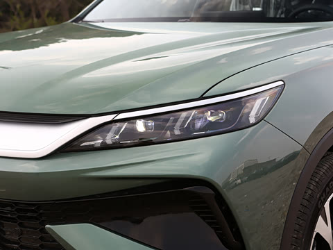 2026�� DM-i 220KM��Խ��