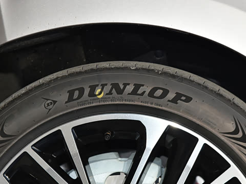 2026�� ˫�� 2.5HG ����