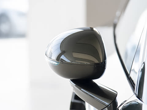 2025�� ���� Max��������