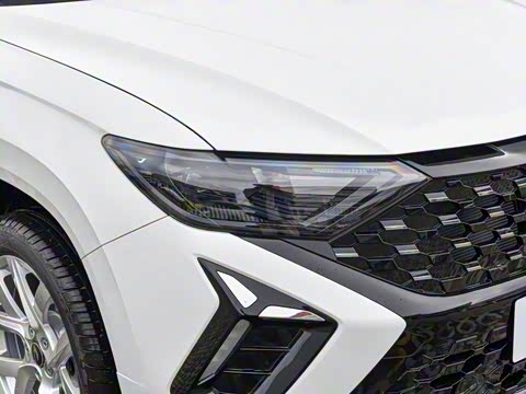 2026�� 280TSI �ֶ��ȷ��