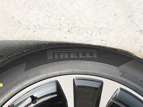 2026�� ���� Max�������� 6��